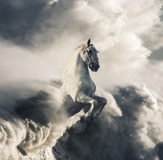 White Horse Wallpaper HD 4k By Sahibdm