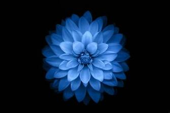 Wallpaper Pc Net
