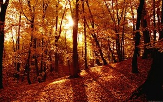 High Resolution Widescreen Wallpaper Browsing HDtv