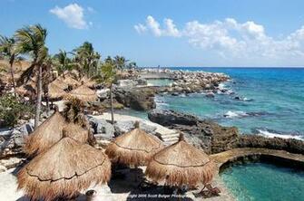Aug Americas Wallpaper Animals Ouimet Design Contoy Cancun