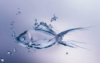 Fishes HD Wallpaper Background Image