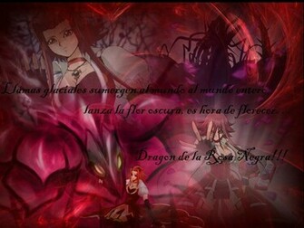 Aki Izayoi And Black Rose