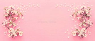 Pink Cherry Blossom Wallpaper