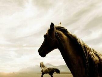 Horse Wallpaper For Computer