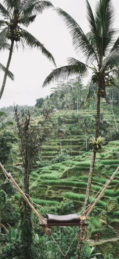 Ubud Wallpaper For iPhone X On 3wallpaper