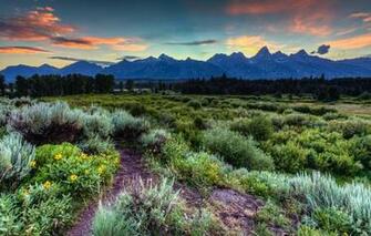 Grand Teton National Park Jackson Hole Wyoming Usa Sky Mountains