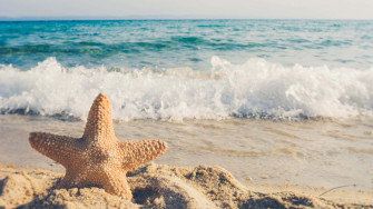 Beach Scene Wallpaper