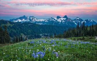 Mount Rainier Washington Clouds Wallpaper