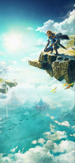 The Legend Of Zelda Tears Kingdom Artwork Wallpaper Cat