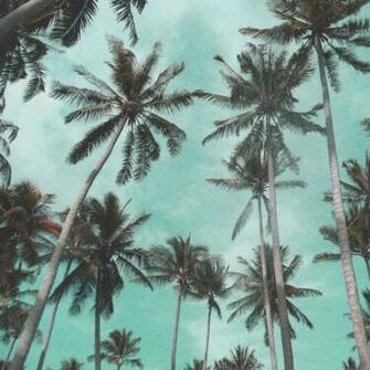 Wallpaper Key West