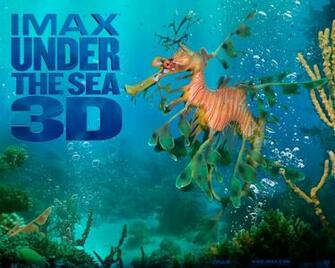 Under The Sea 3d Wallpaper Moallpapers Org