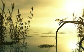 Lakes Dragonflies Tagnotallowedtoosubjective 3d Wallpaper