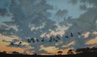 Ducks Unlimited Wallpaper Best Auto Res