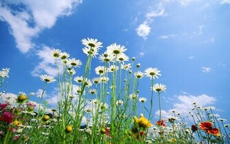 Desktop Wallpaper Nature Spring HD