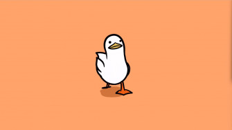 Meme Wallpaper Desktop On
