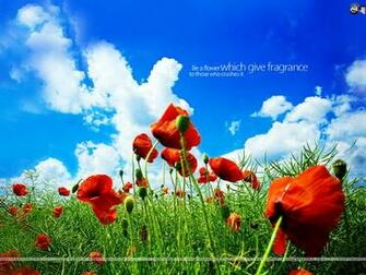 Full HD Wide Nature Wallpaper Image I Beautiful Photos