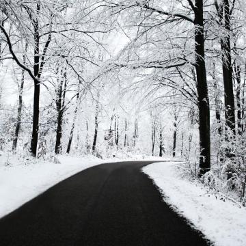 Winter iPad Wallpaper