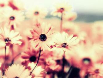 Vintage Flowers Wallpaper HD Pictures Live