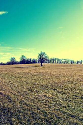 Country Landscape iPhone Wallpaper