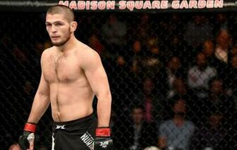 Wallpaper Russia Ufc Fighter Dagestan The Eagle Khabib