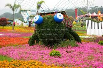 Flowers Everywhere Frog Colorful Tree