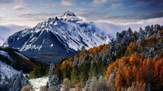 Wallpaper Sneffels Mountain Trees Winter Forest 4k Nature