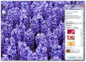 Windows Desktop Spring Flowers Pc Android iPhone And iPad Wallpaper