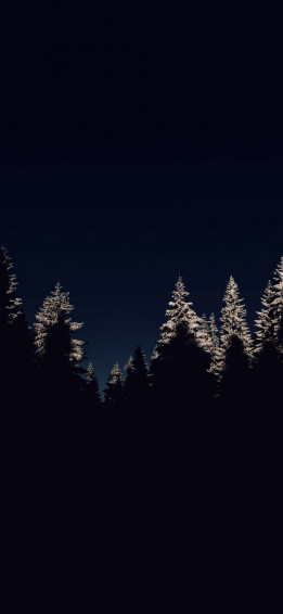 Midnight Snowy Pines Dark Christmas Aesthetic Wallpaper