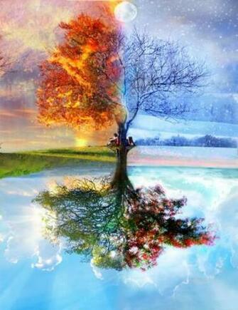 Winter Fire Wallpaper Desktop Background