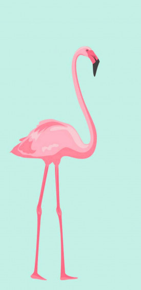 Flamingo Wallpaper