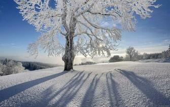 Wallpaper German Landscape