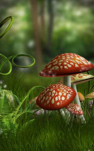 Fairy Tale Live Wallpaper Android Apps On Google Play