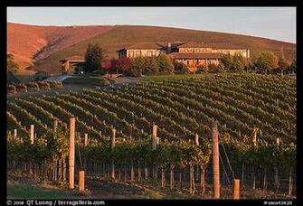 Photo Vineyard And Winery In Autumn Napa Valley California Usa