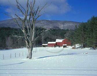 Beautiful Farm Scenery