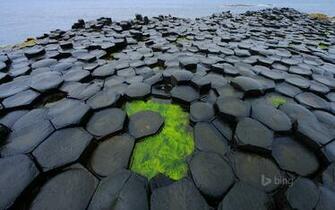Giant S Causeway County Antrim Northern Ireland United Kingdom