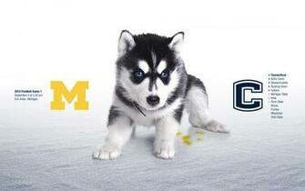 Widescreen Wallpaper Connecticut Schedule Football Michigan
