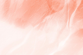 Peach Background Wallpaper