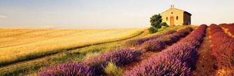 South Of France Landscape Painting Desktop Wallpaper Desktopianet