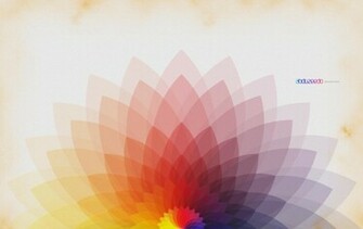 To Color HD Wallpaper FullHDwpp Full