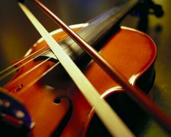 Beautiful Violin Desktop Wallpaper