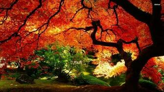Autumn Landscape Wallpaper