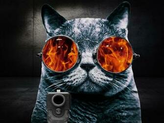 Cat Glasses Rage Oil Painting By Stevewoods69