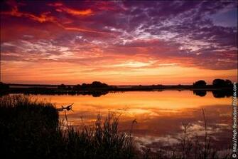 Sunset At Sawhill Ponds Boulder Colorado High Quality Stock Photos