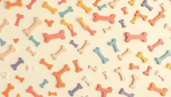 Dog Bone Wallpaper