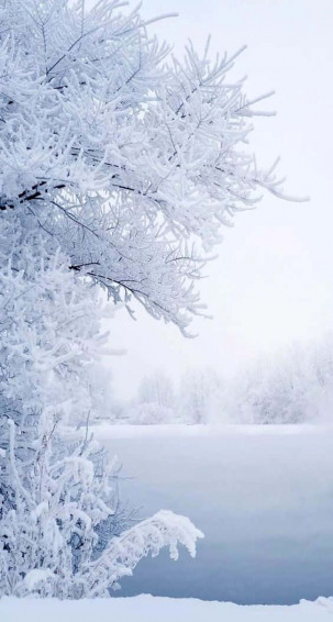 Snow iPhone Wallpaper