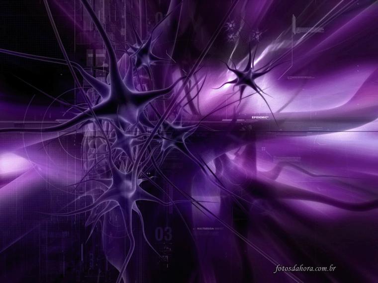 Imagensnet Papel De Parede Lil S