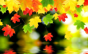 Autumn Screen Wallpaper