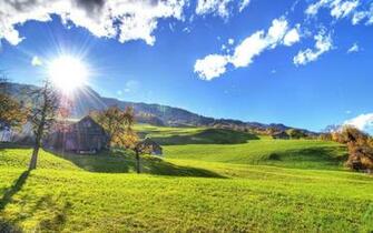 Wallpaper Autumn Focus Green Ford Cars Background Desktop Wallpaers