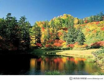 Wallpaper Landscape Scenery Scenic