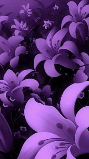 Purple Flowers Wallpaper For Your Nokia N8 Mobile